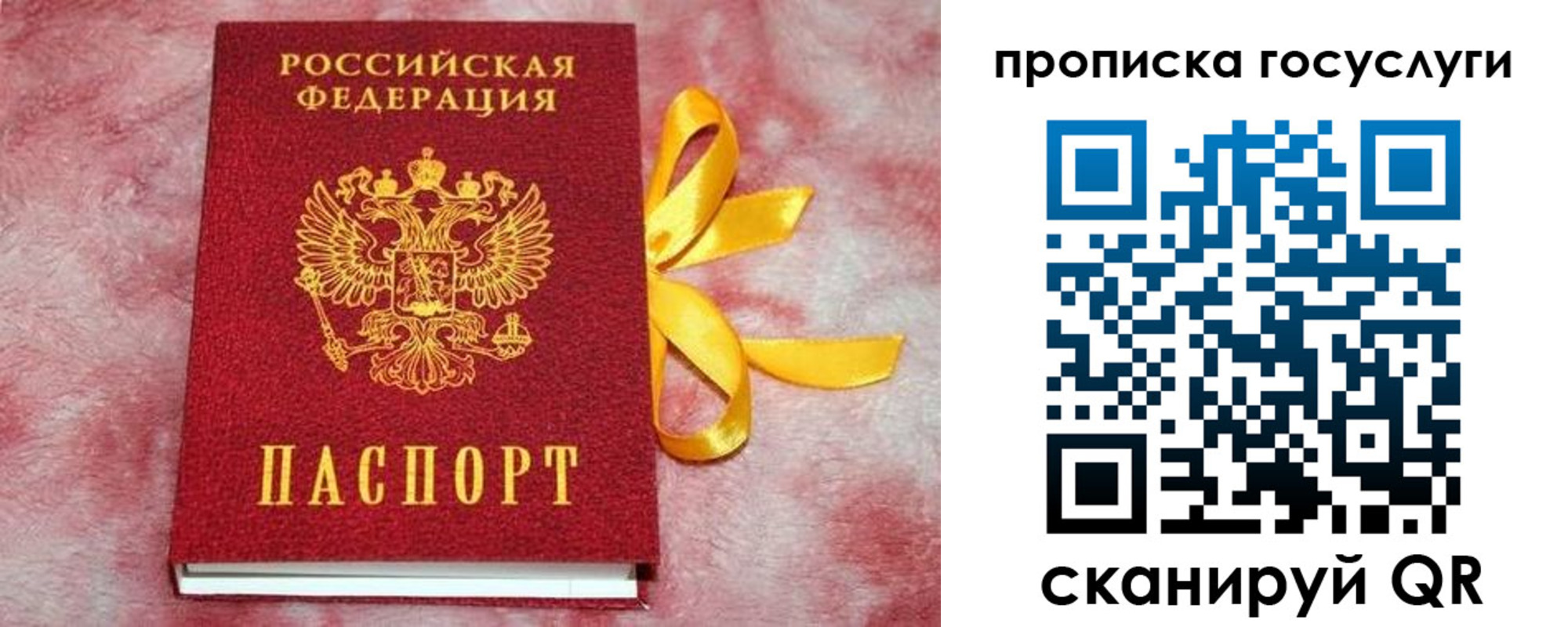 прописка законно в Гаджиево
